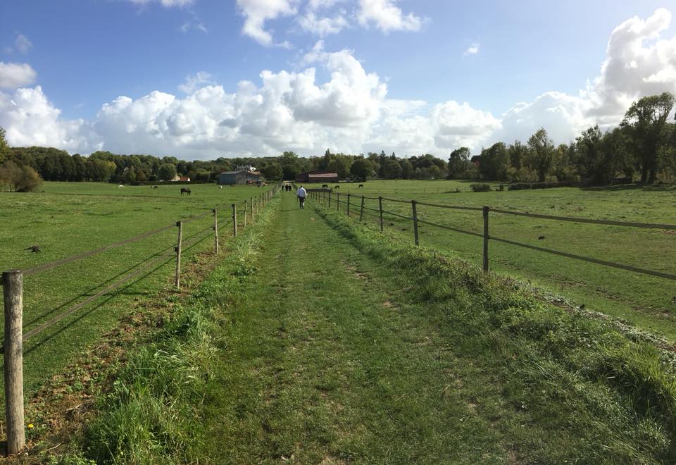 Sortie Nature à Guiry en Vexin